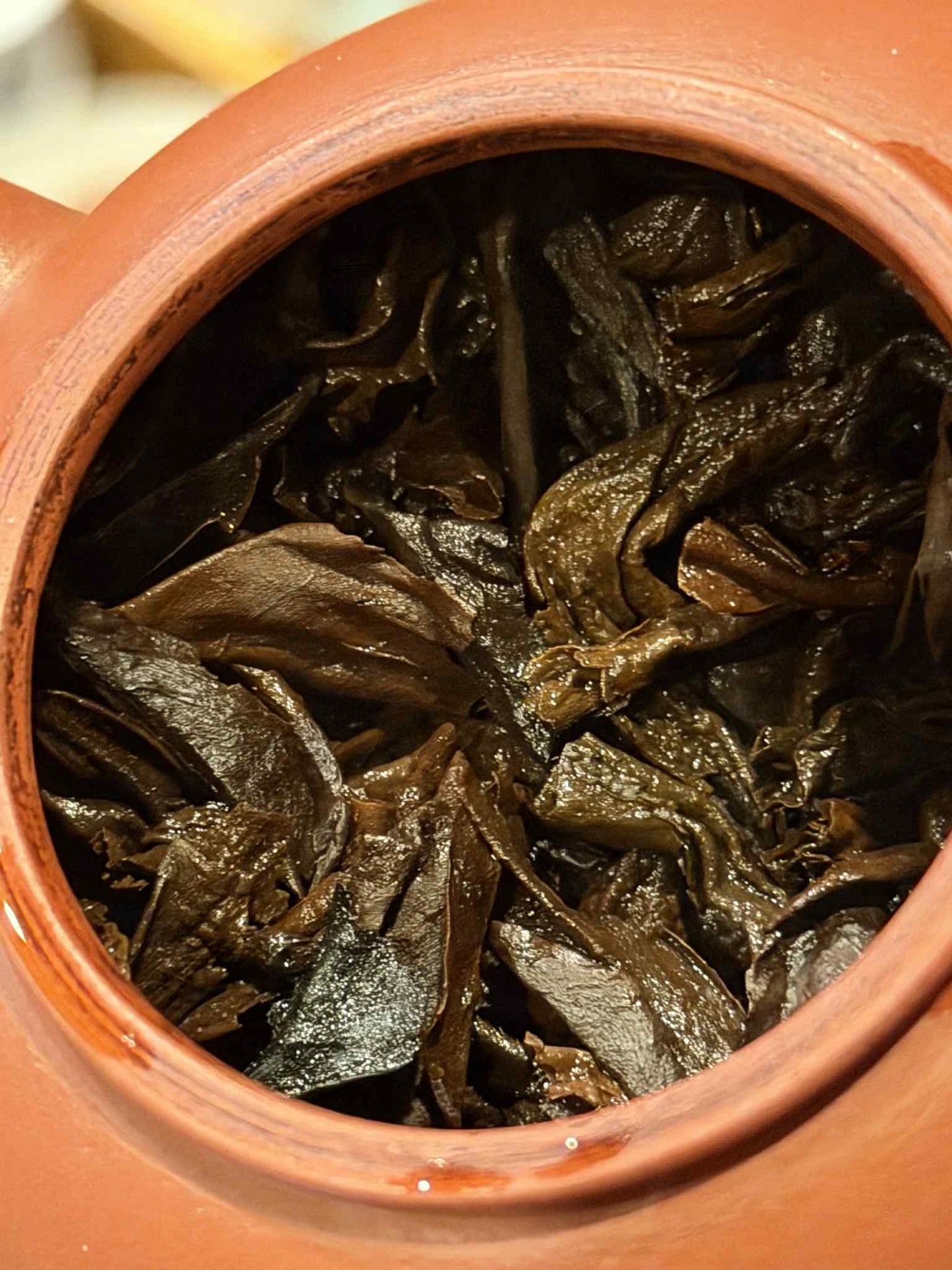 Puerh Samples