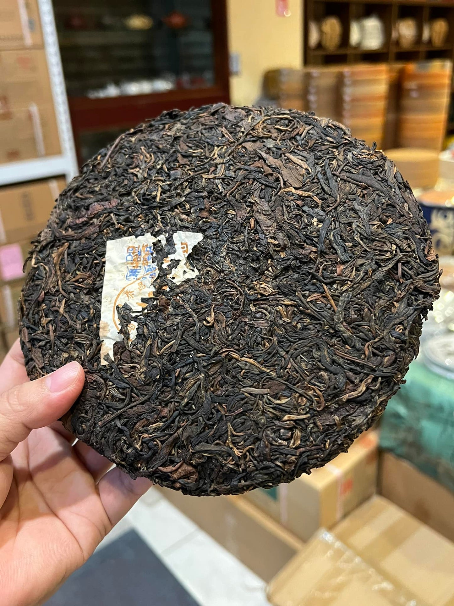 2003 Brown Changtai