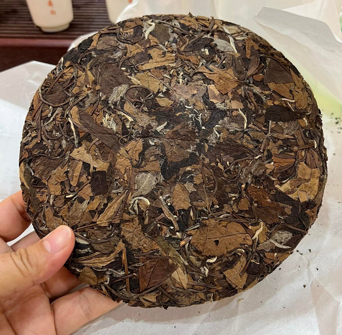 2016 Fuding White Tea Sun-Dried Gongmei