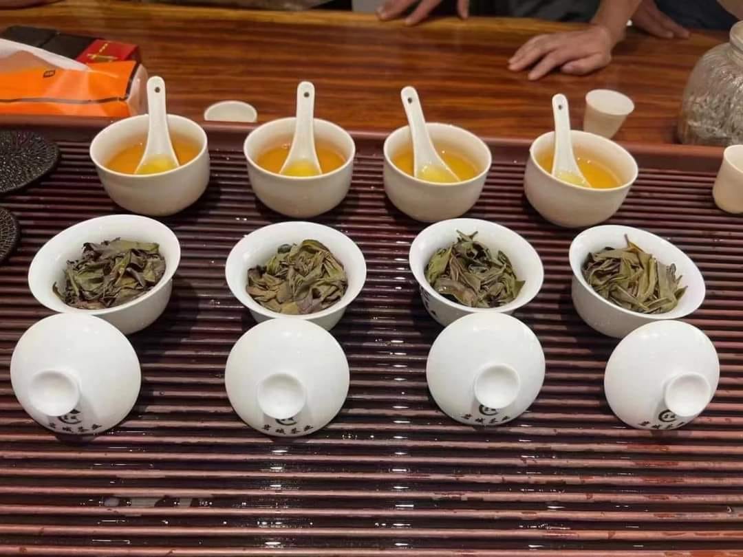 2023 Da Hong Pao - Ding Yun You Lan