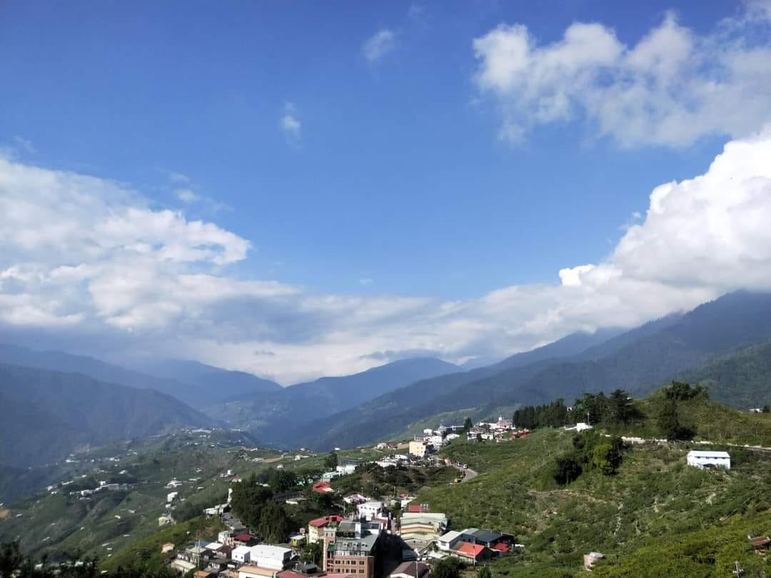 2024 Spring Huagang Tianchi High Mountain Oolong