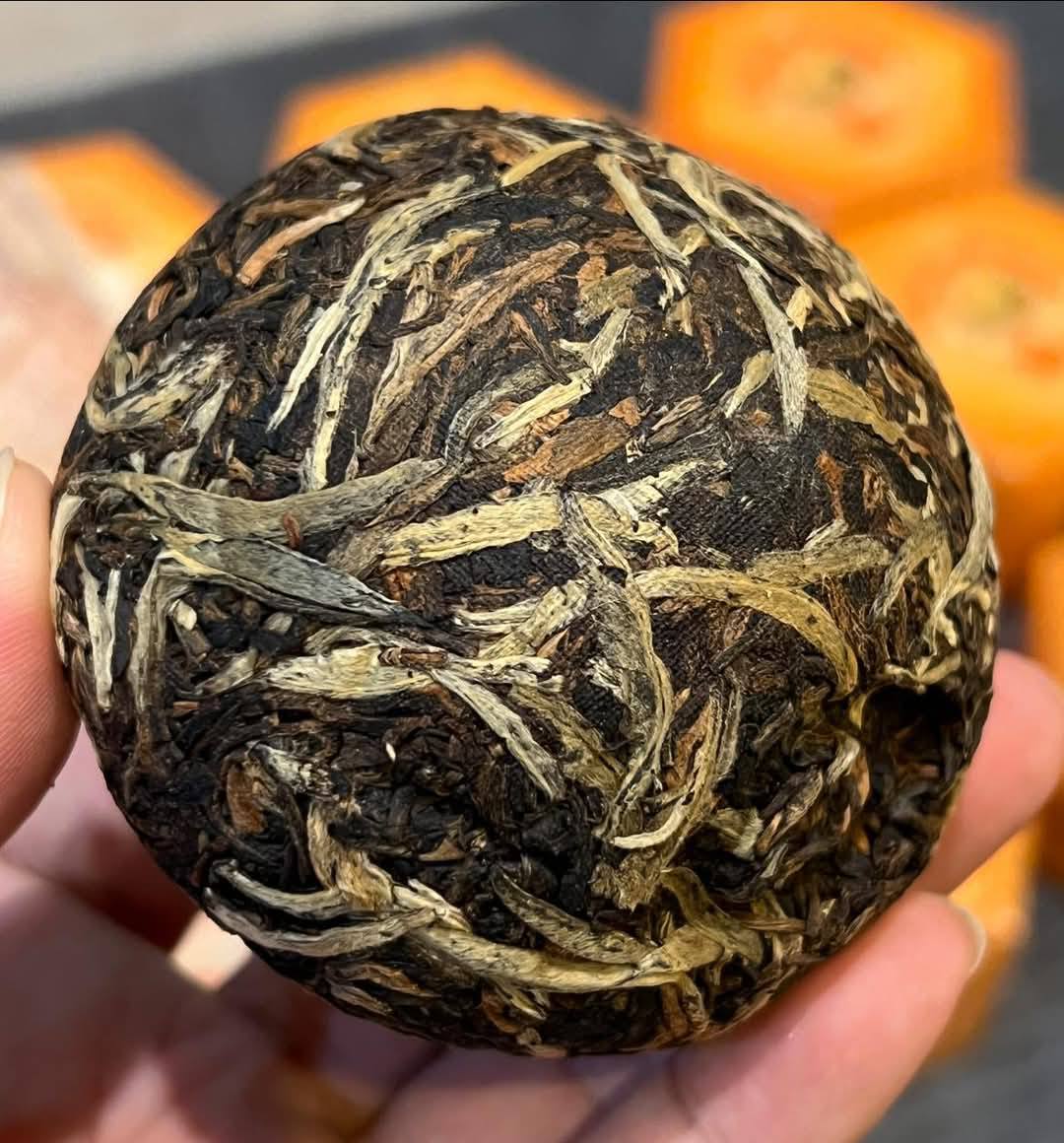2004 Xiaguan Nanzhao Tuo