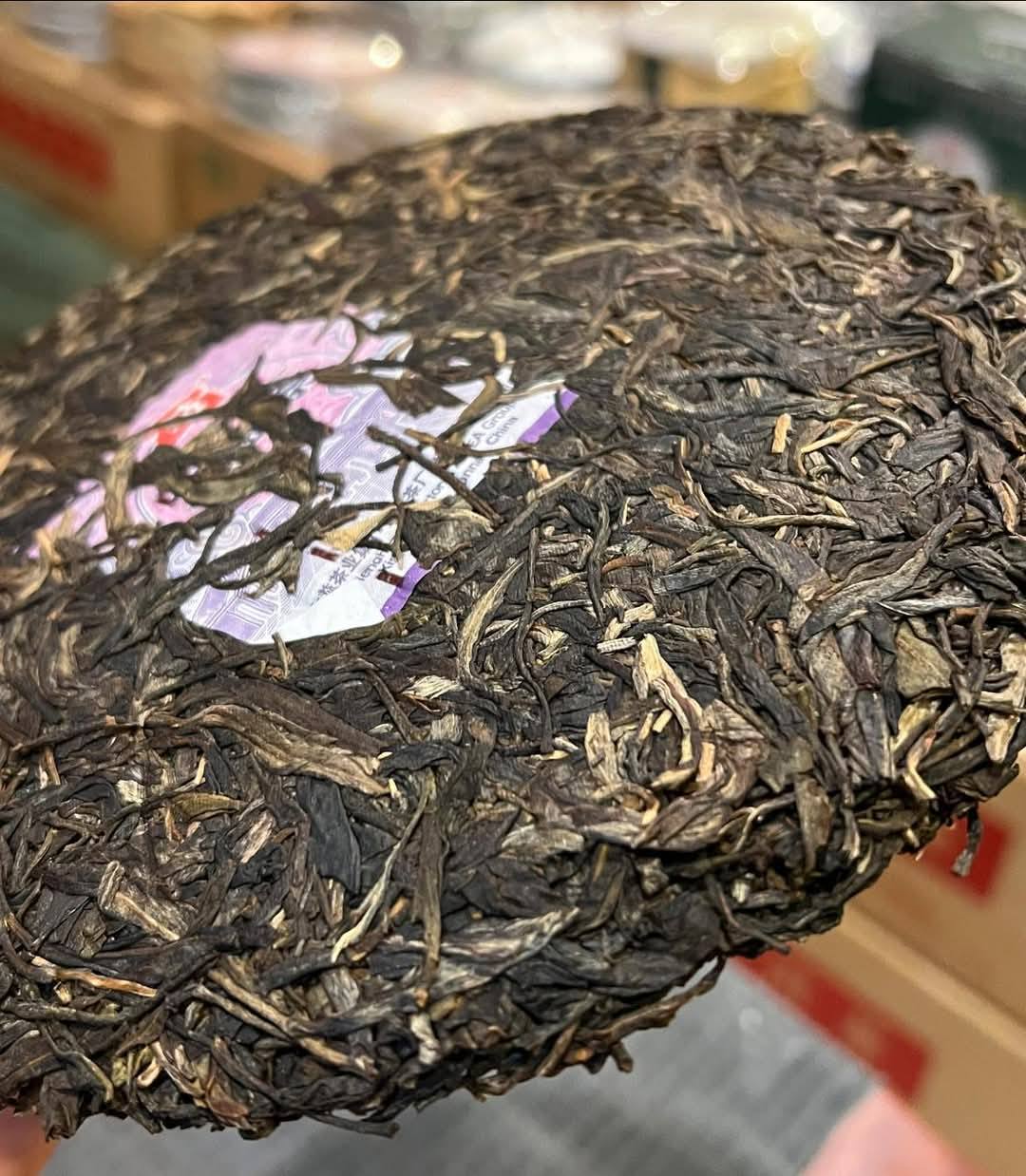 2024 Dayi Yuansheng Guchayuan - Treasure Big 2