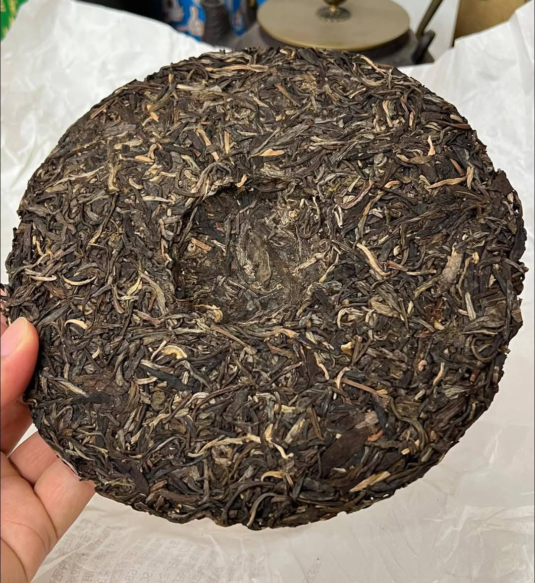 2024 Dayi Yuansheng Guchayuan - Treasure Big 2