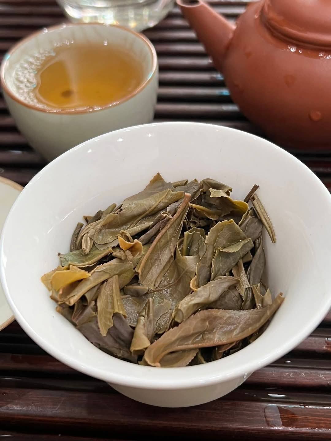 2024 Dayi Yuansheng Guchayuan - Treasure Big 2