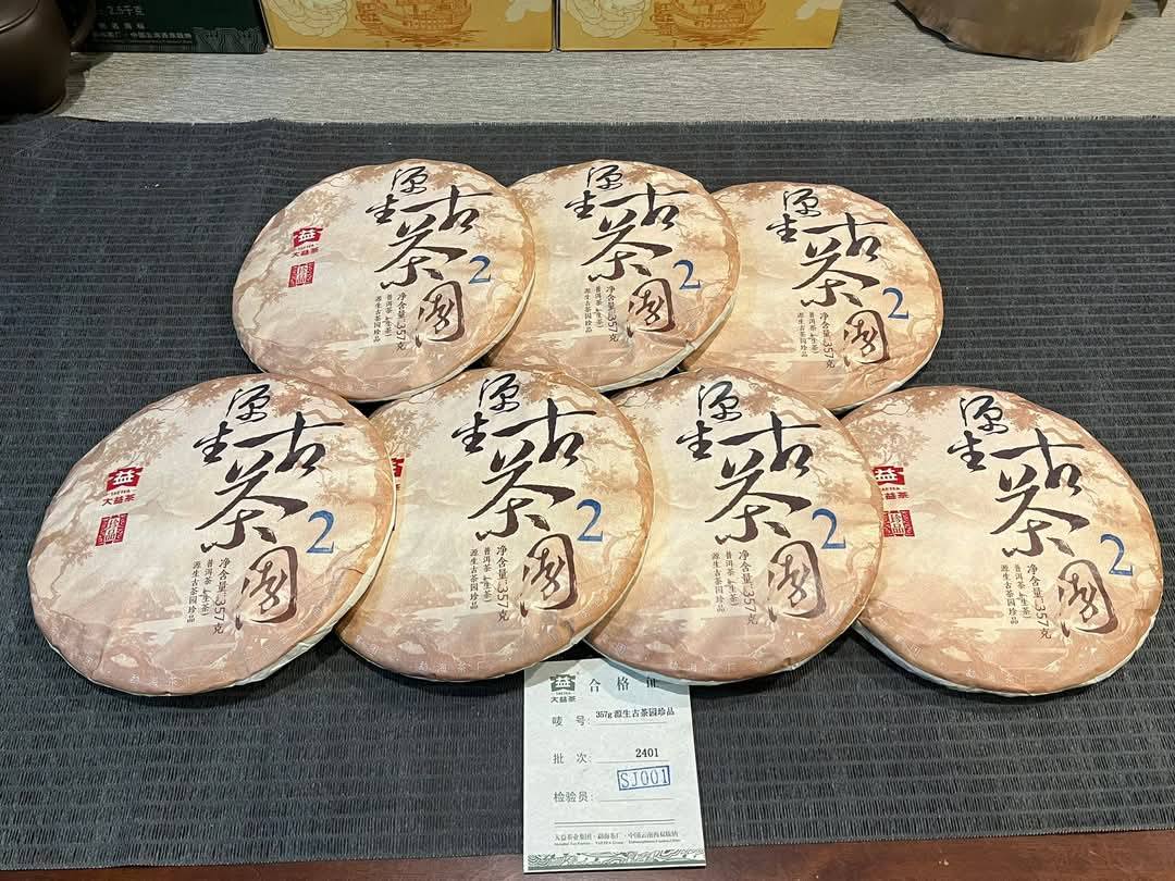 2024 Dayi Yuansheng Guchayuan - Treasure Big 2