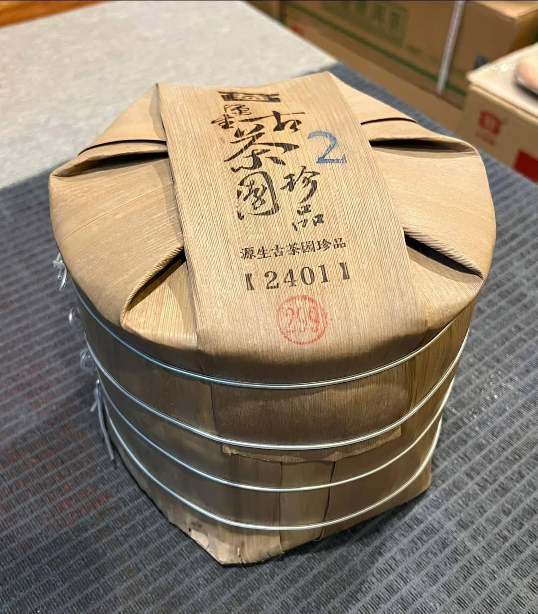 2024 Dayi Yuansheng Guchayuan - Treasure Big 2