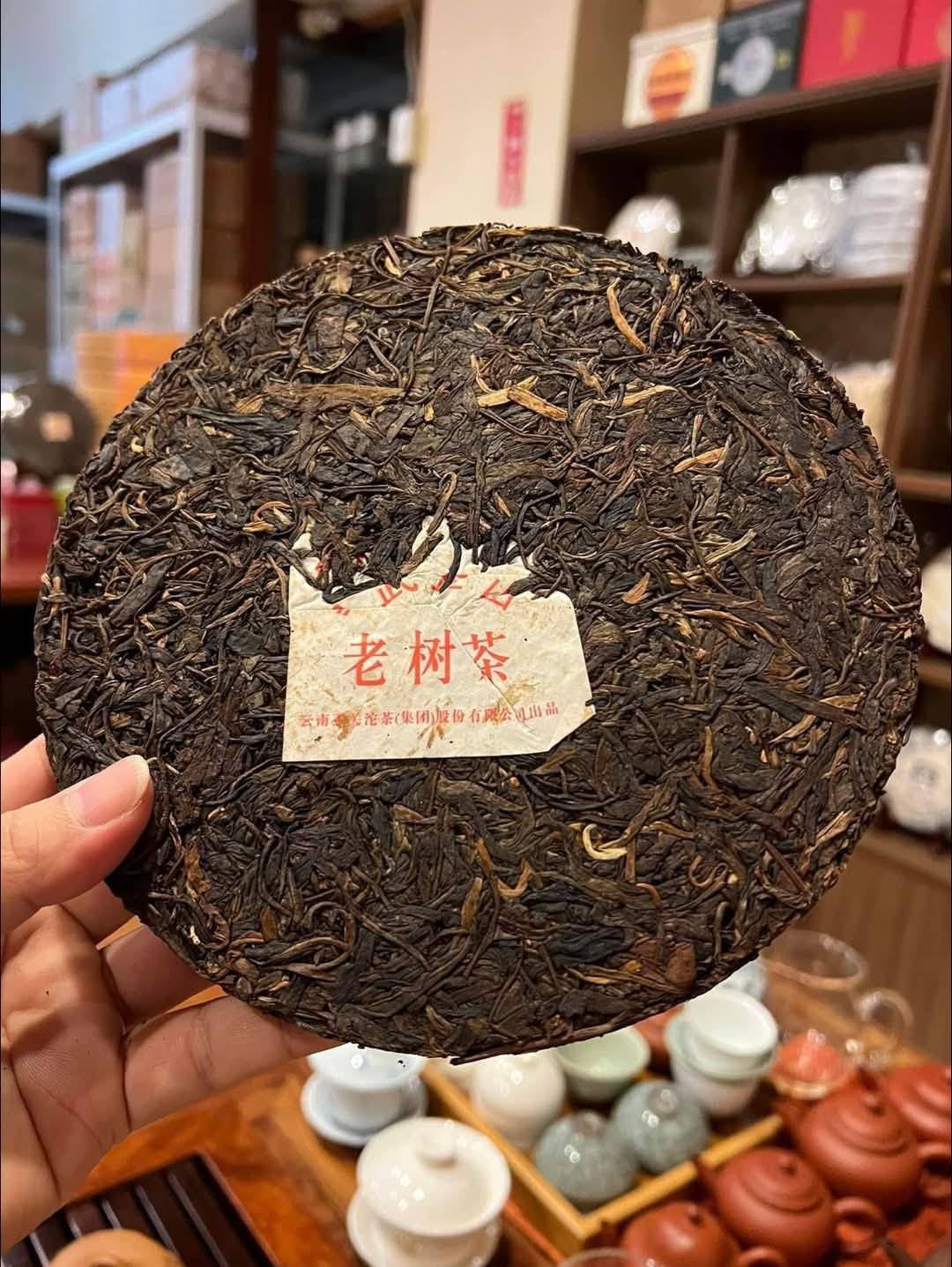 2009 Xiaguan Yiwu "Big Green Tree" Iron Cake