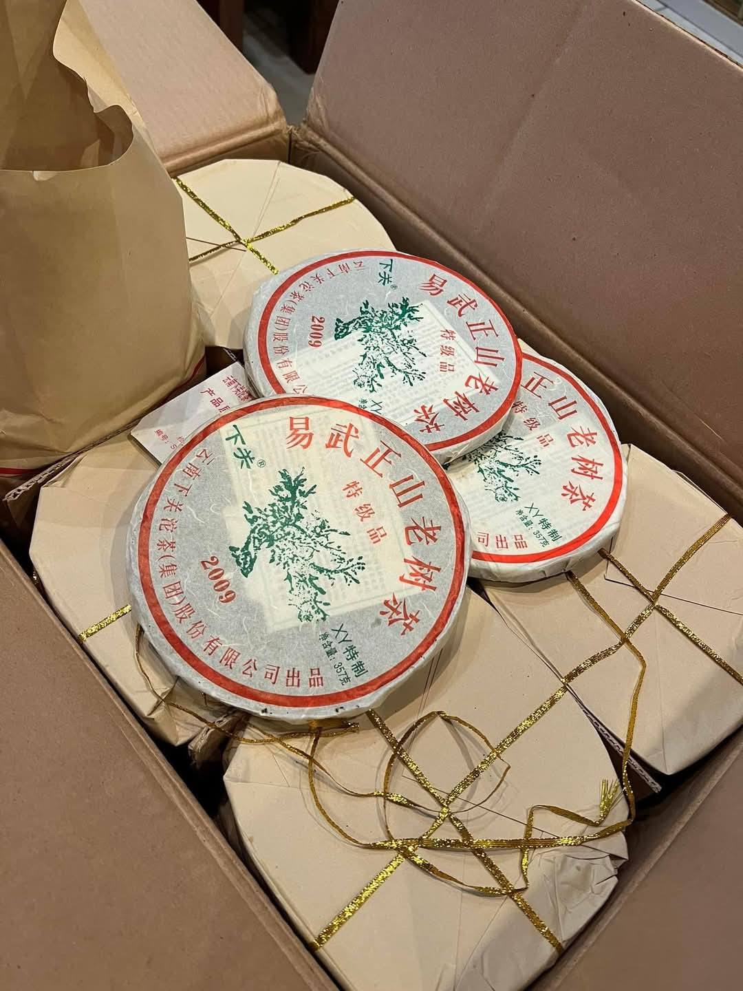 2009 Xiaguan Yiwu "Big Green Tree" Iron Cake