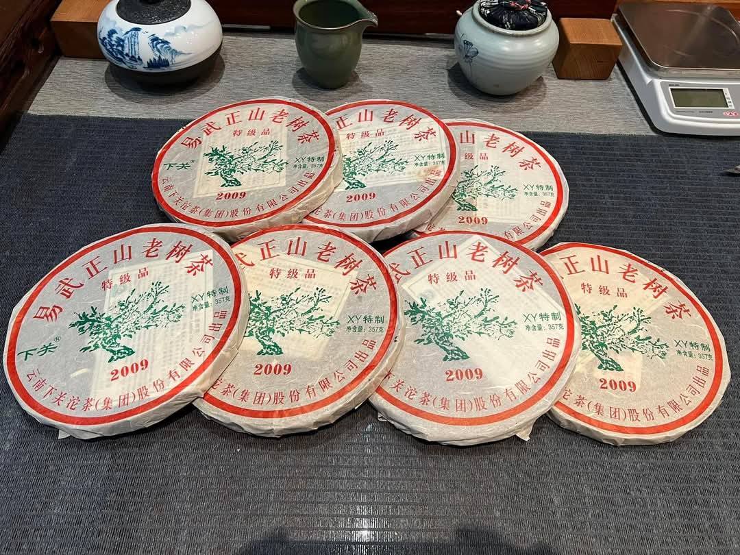 2009 Xiaguan Yiwu "Big Green Tree" Iron Cake