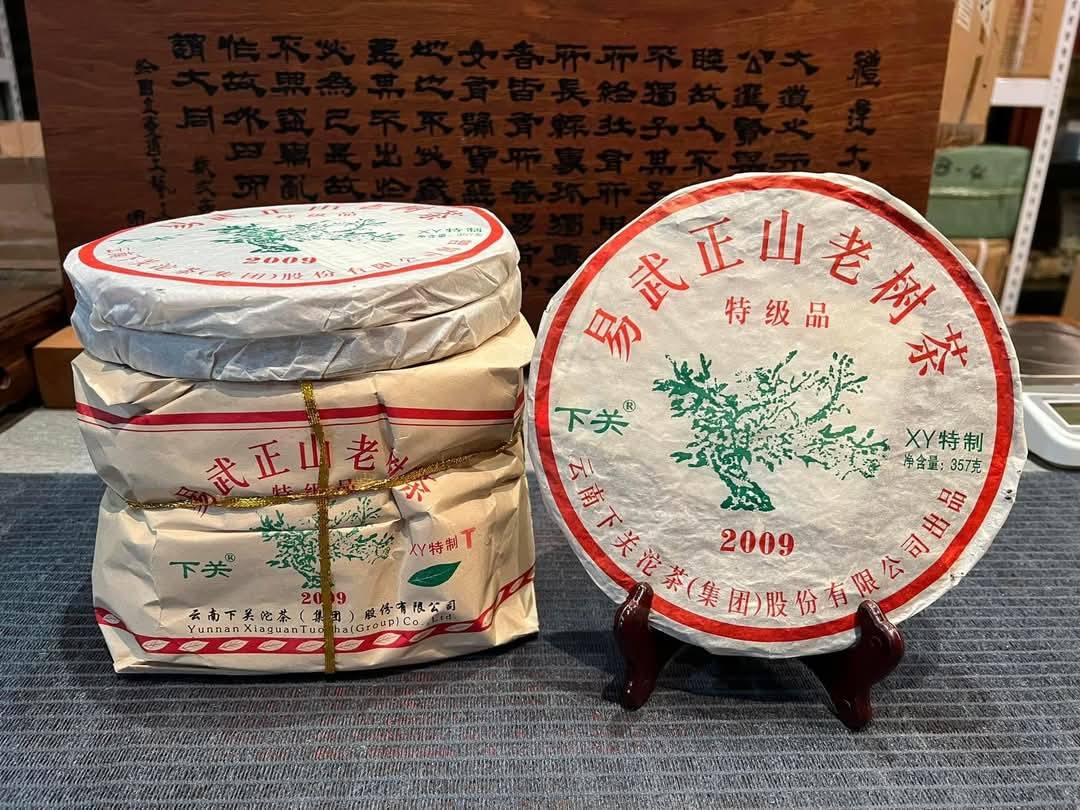 2009 Xiaguan Yiwu "Big Green Tree" Iron Cake