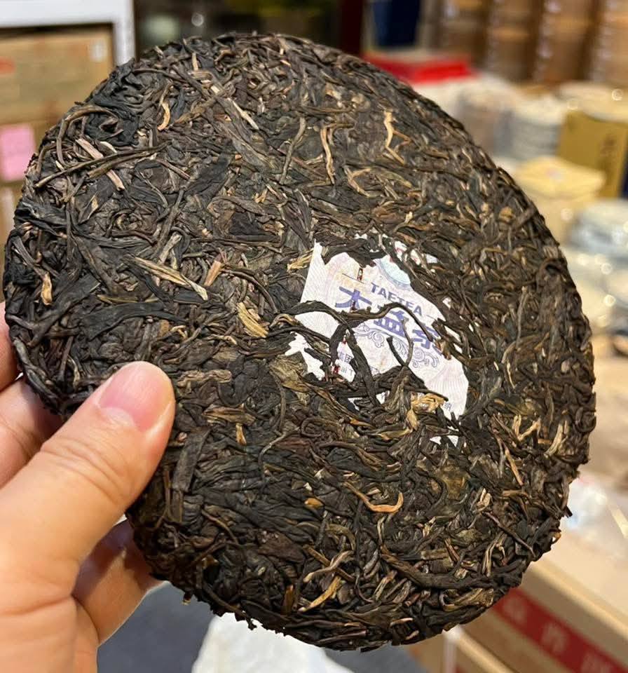 2016 Dayi Mountain Rhyme (Shan Yun) Raw Puerh