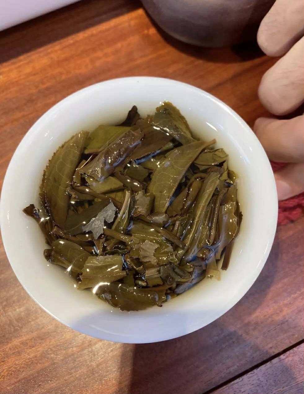 2019 Dayi 1901 Canghai