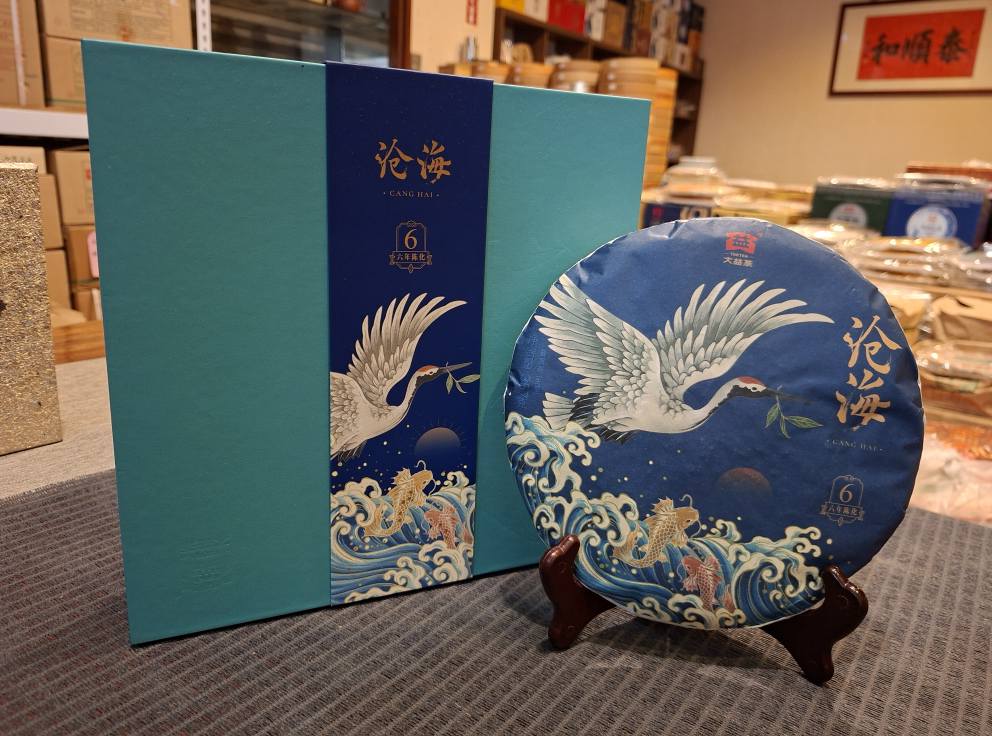 2019 Dayi 1901 Canghai