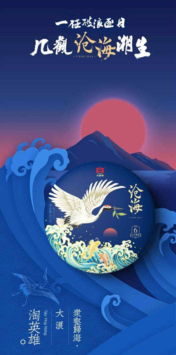2019 Dayi 1901 Canghai