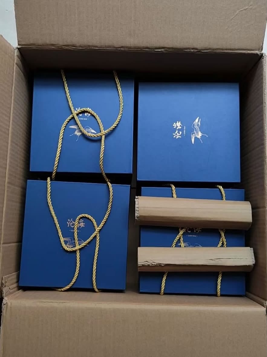 2019 Dayi 1901 Canghai