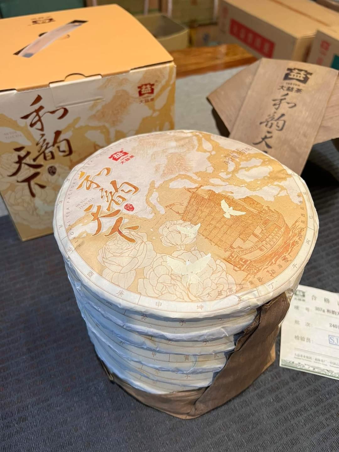 2024 Dayi 2401 Heyun Tianxia