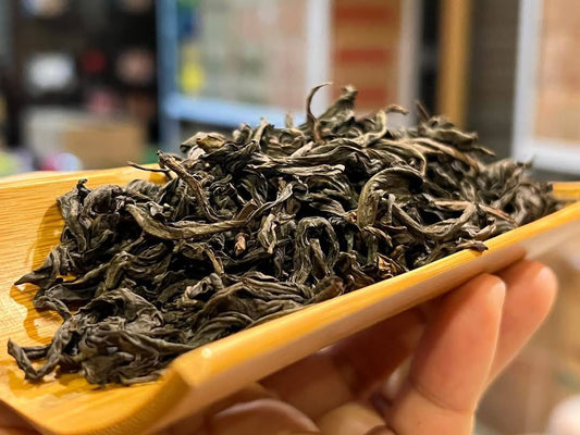 2023 Wuyi Zhengyan Old Bush Shuixian Oolong