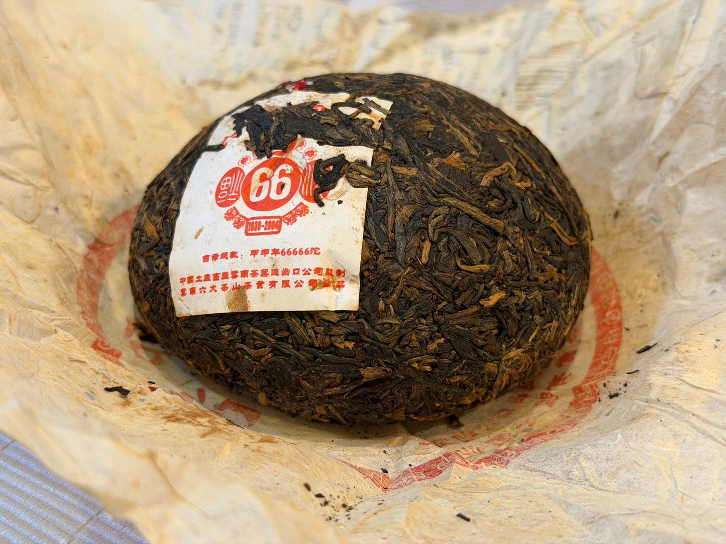 2004 6FTM "66 Red Mark" Tuo