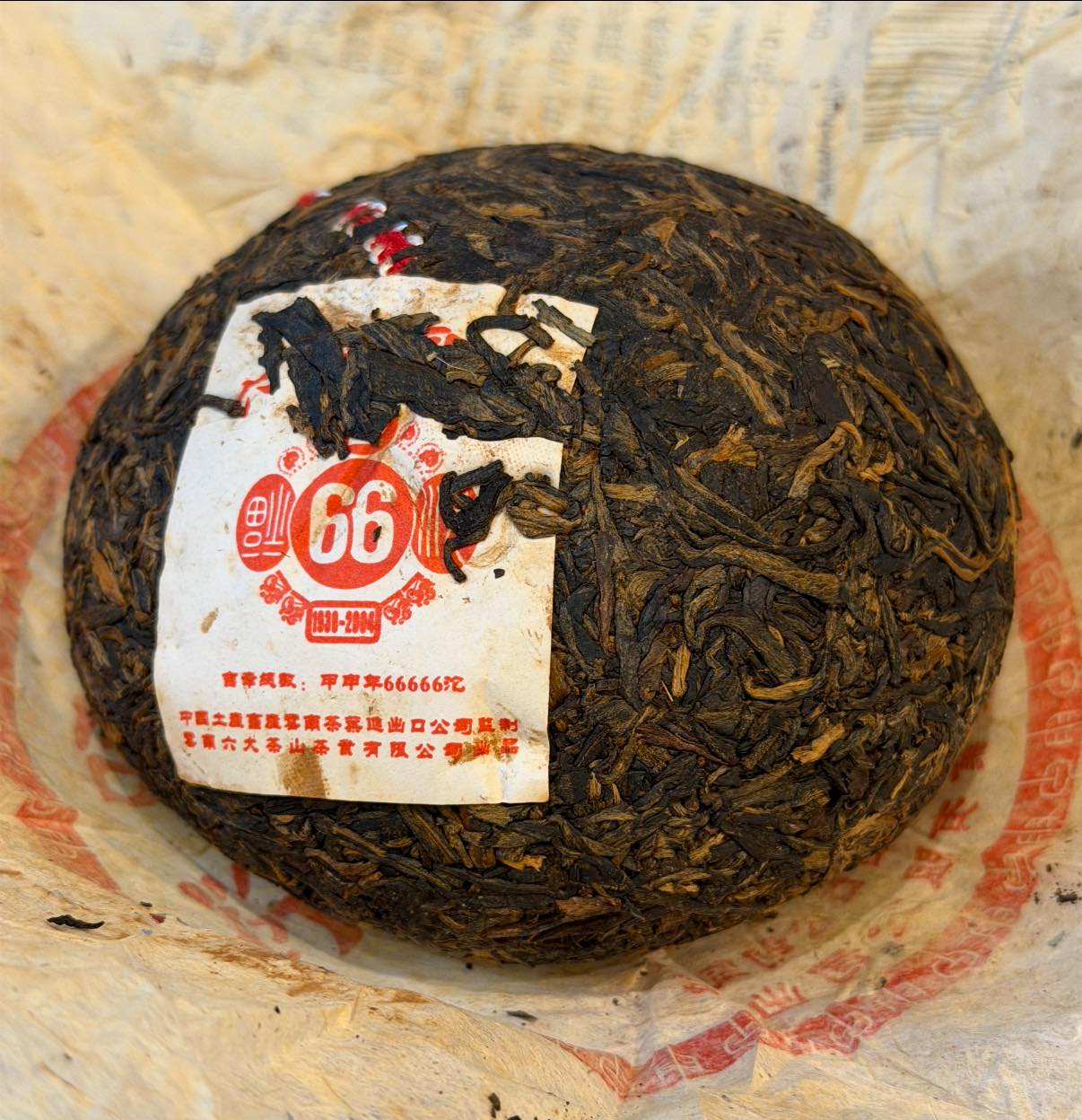 2004 6FTM "66 Red Mark" Tuo