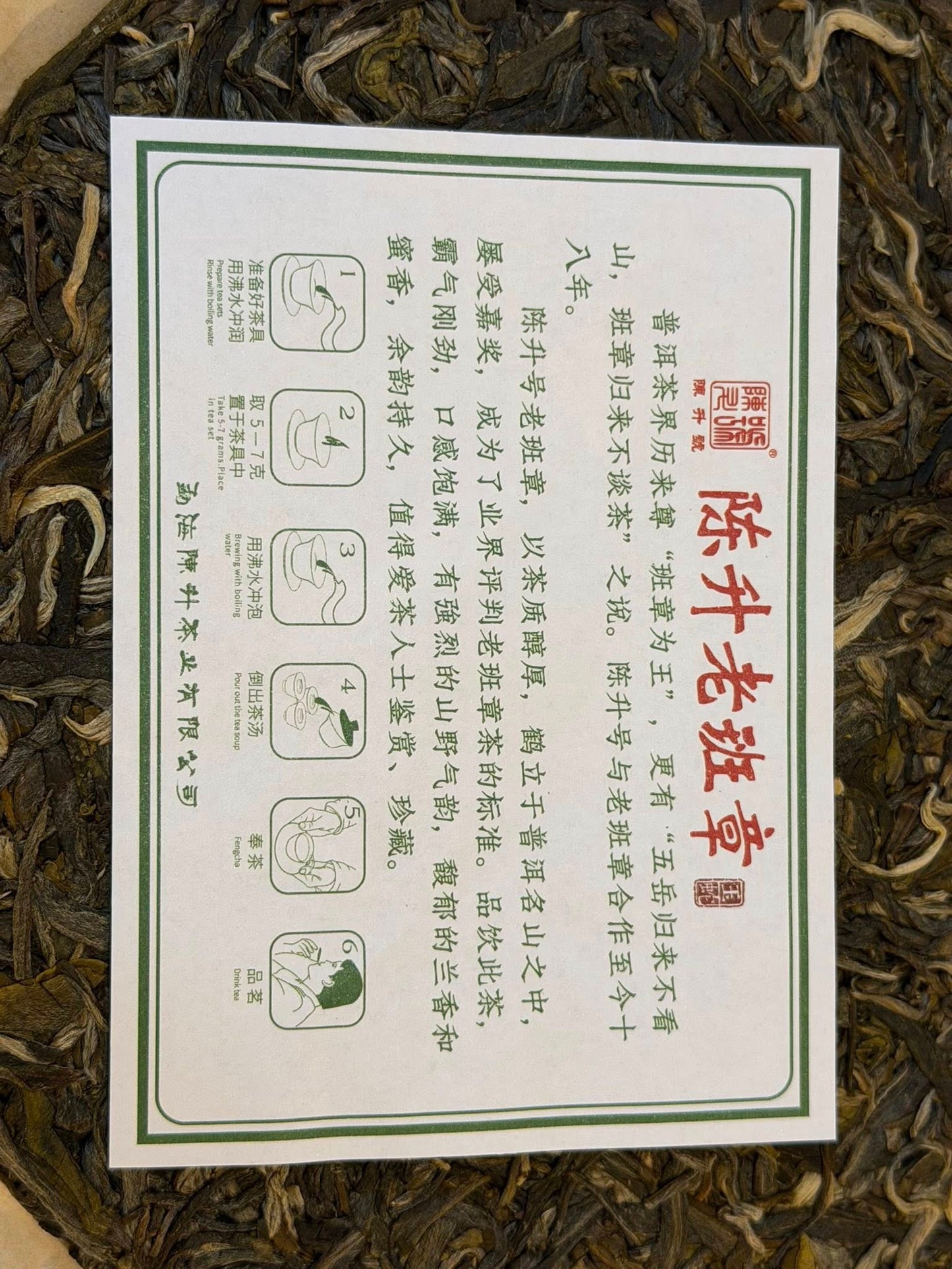 2025 Chen Sheng Hao Lao Ban Zhang Raw Puerh