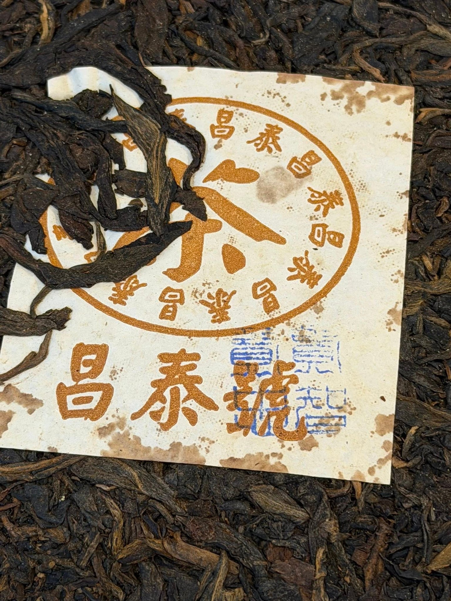 2003 King of Brown Changtai