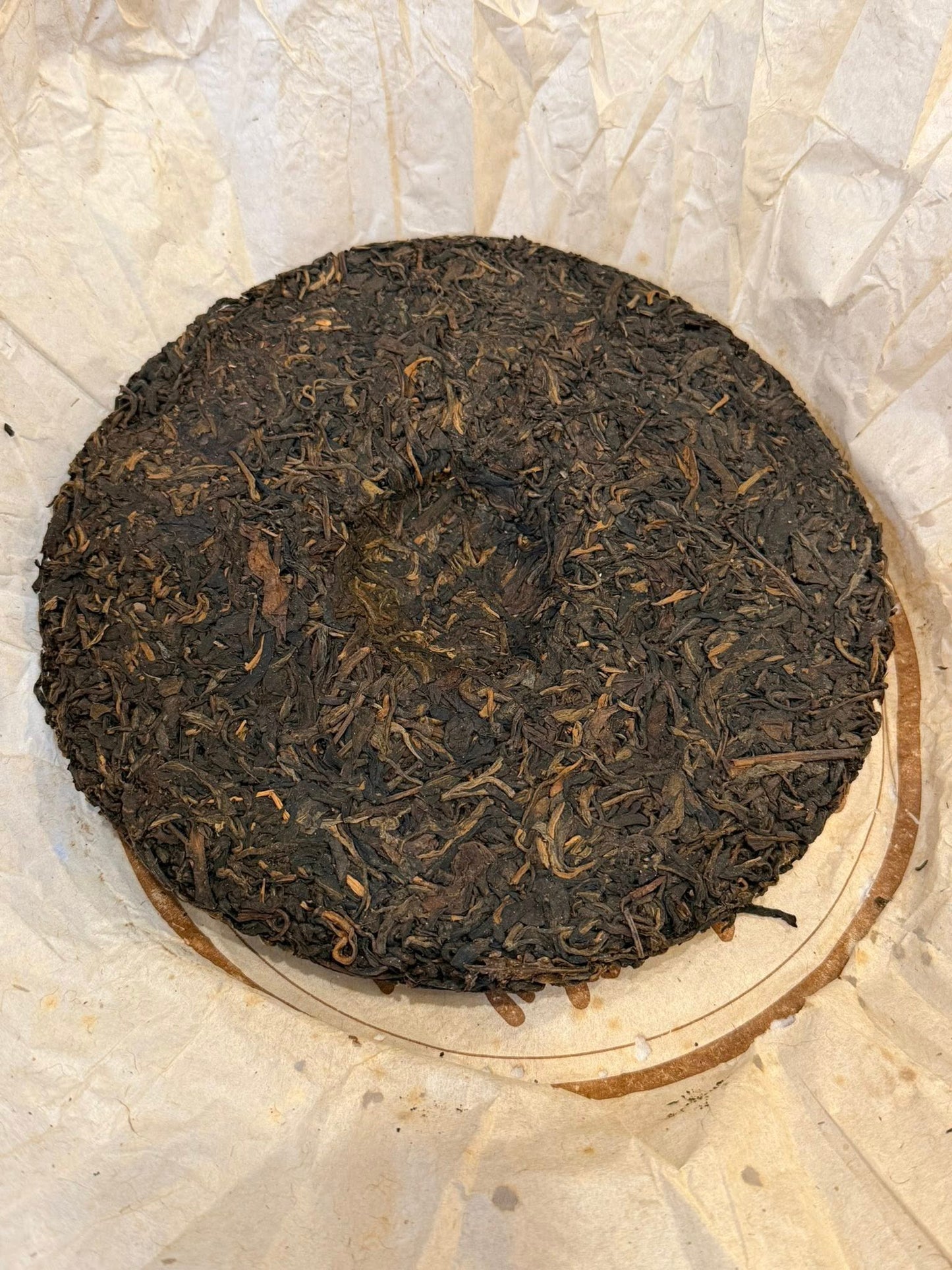 2003 King of Brown Changtai