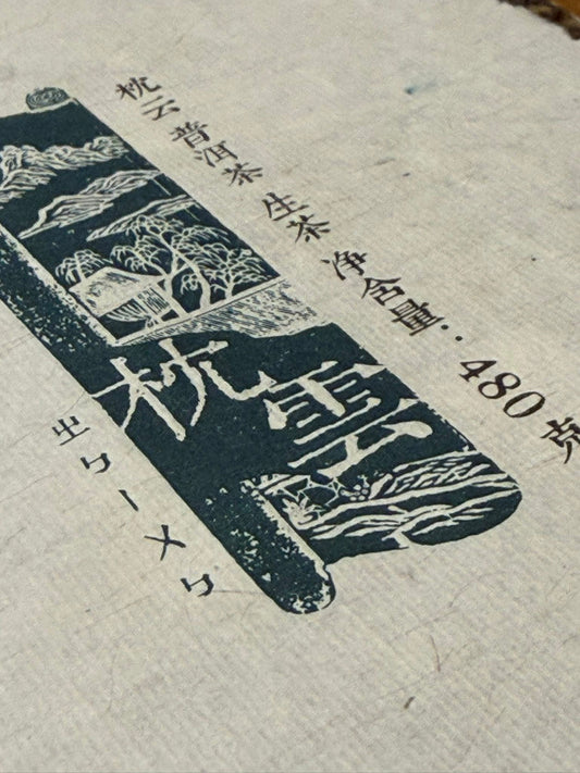 2019 Guanzizai Zhen Yun Brick Raw and Ripe