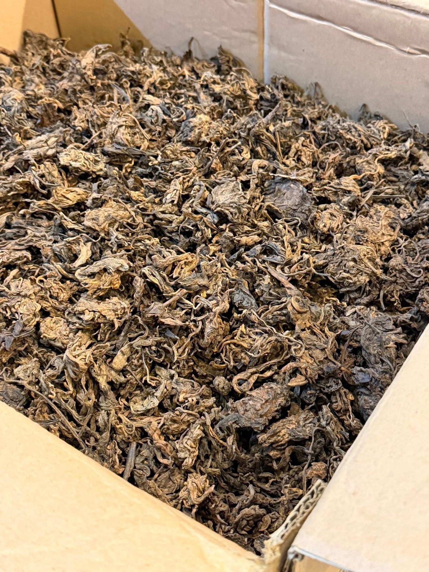 2009 Yiwu Lao Chatou Ripe