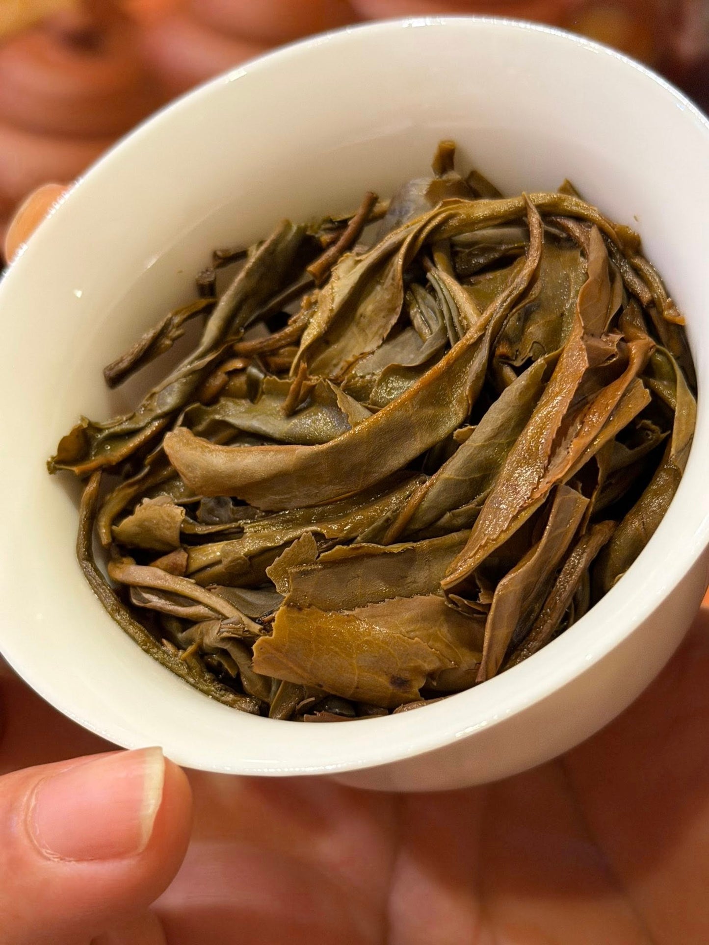 2018 Chen Sheng Hao Banzhang Gushu Danzhu