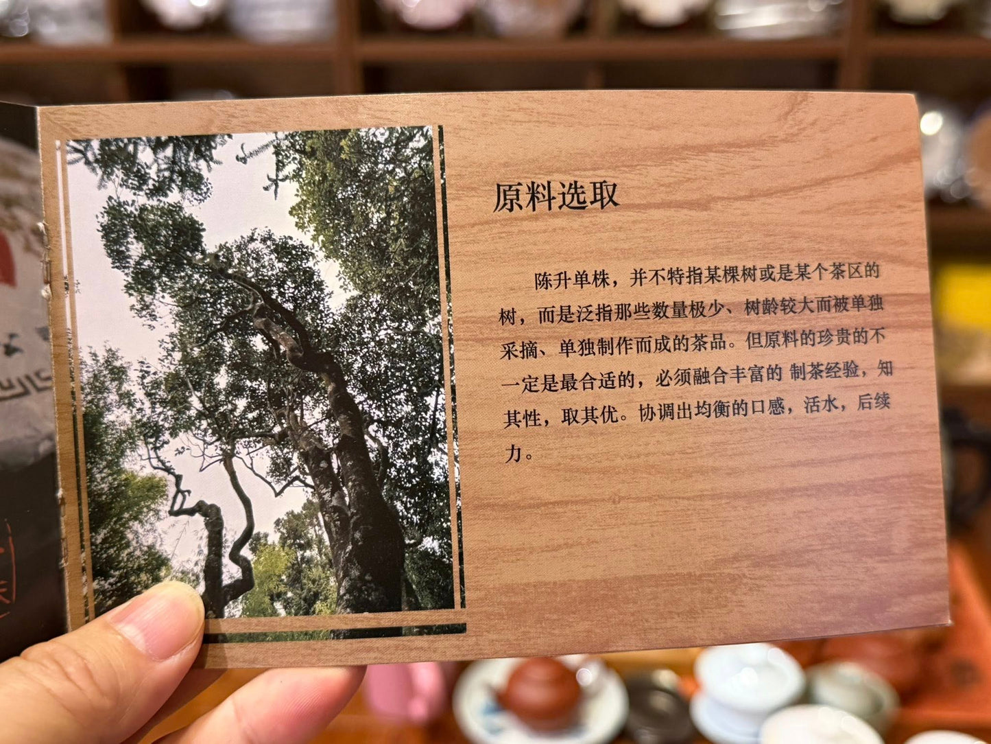 2018 Chen Sheng Hao Banzhang Gushu Danzhu