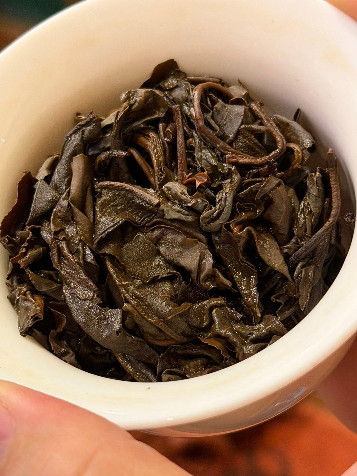 2005 Nujiang Spring Tips Yesheng Raw Puerh