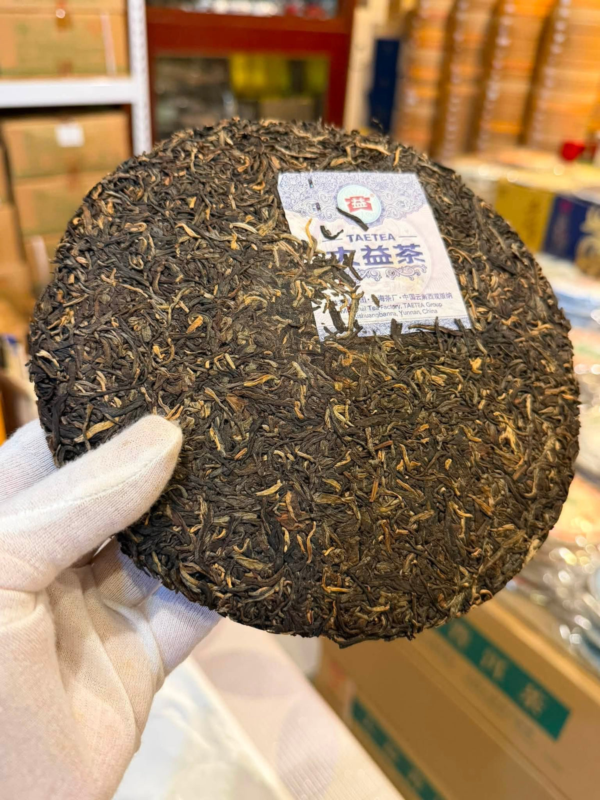 2012 Dayi Yan Yun Raw Puerh