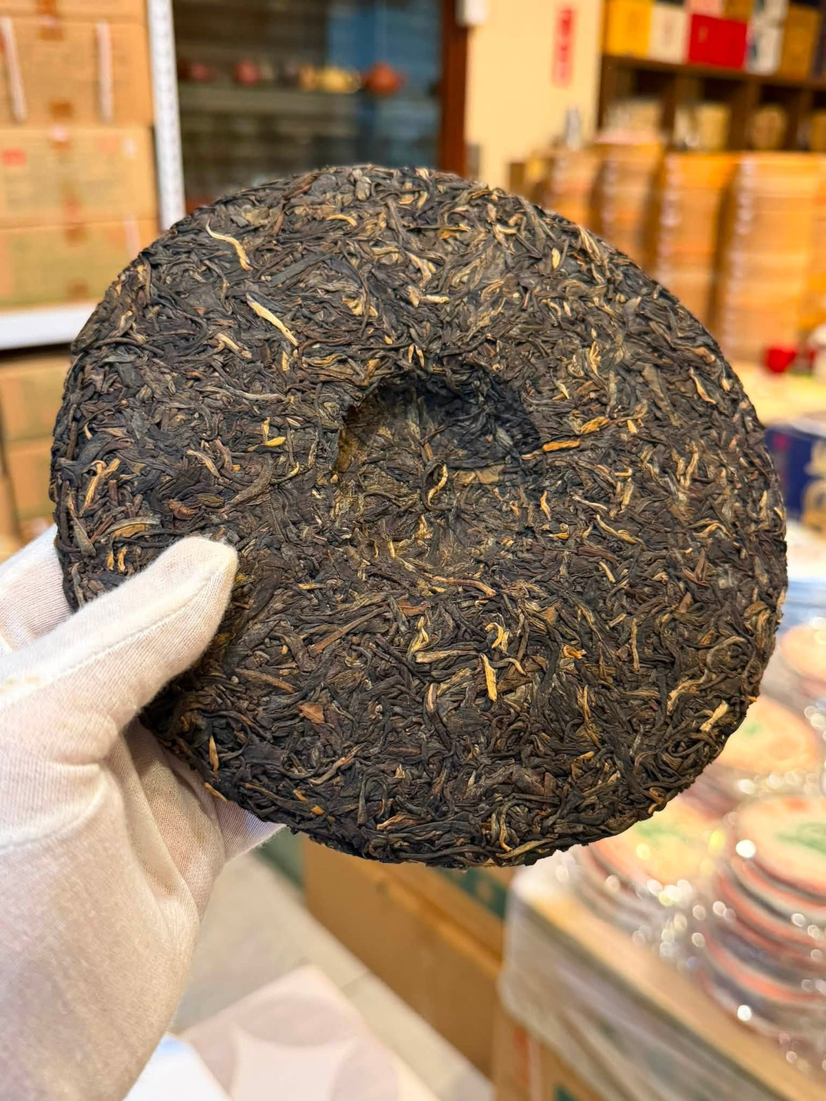 2019 Dayi 1901 Canghai