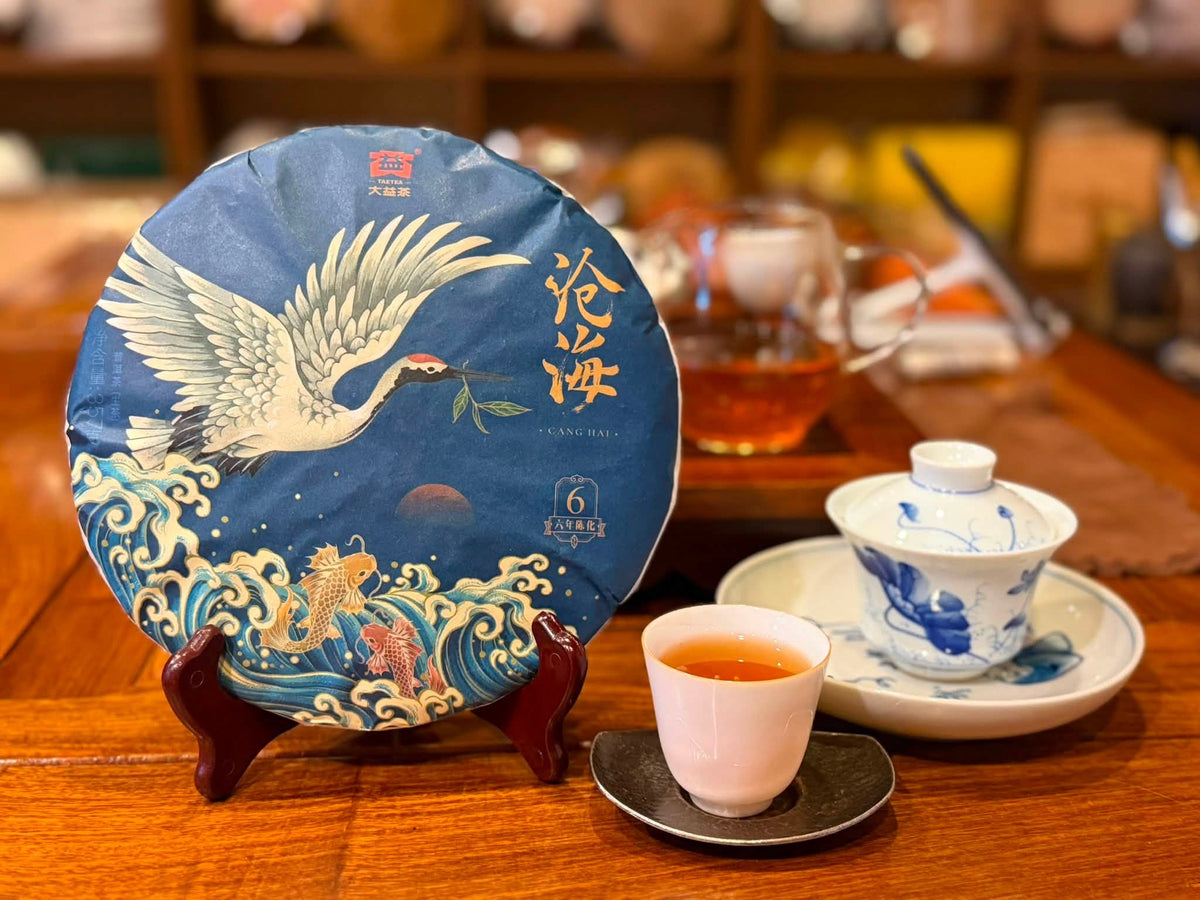 2019 Dayi 1901 Canghai