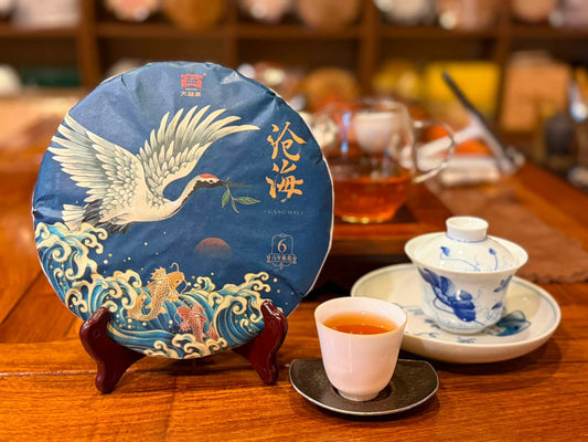 2019 Dayi 1901 Canghai