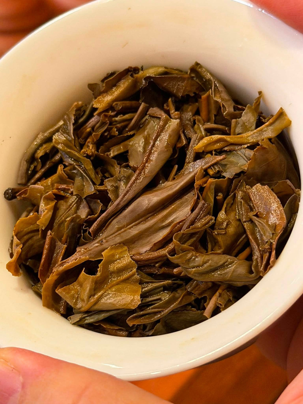 2019 Dayi 1901 Canghai