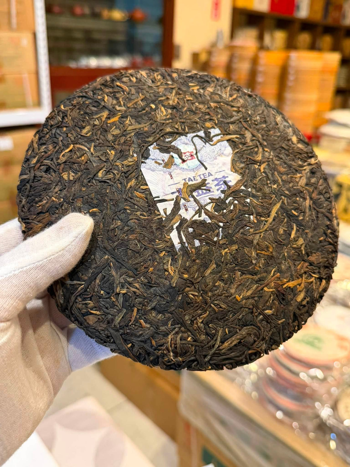 2019 Dayi 1901 Canghai