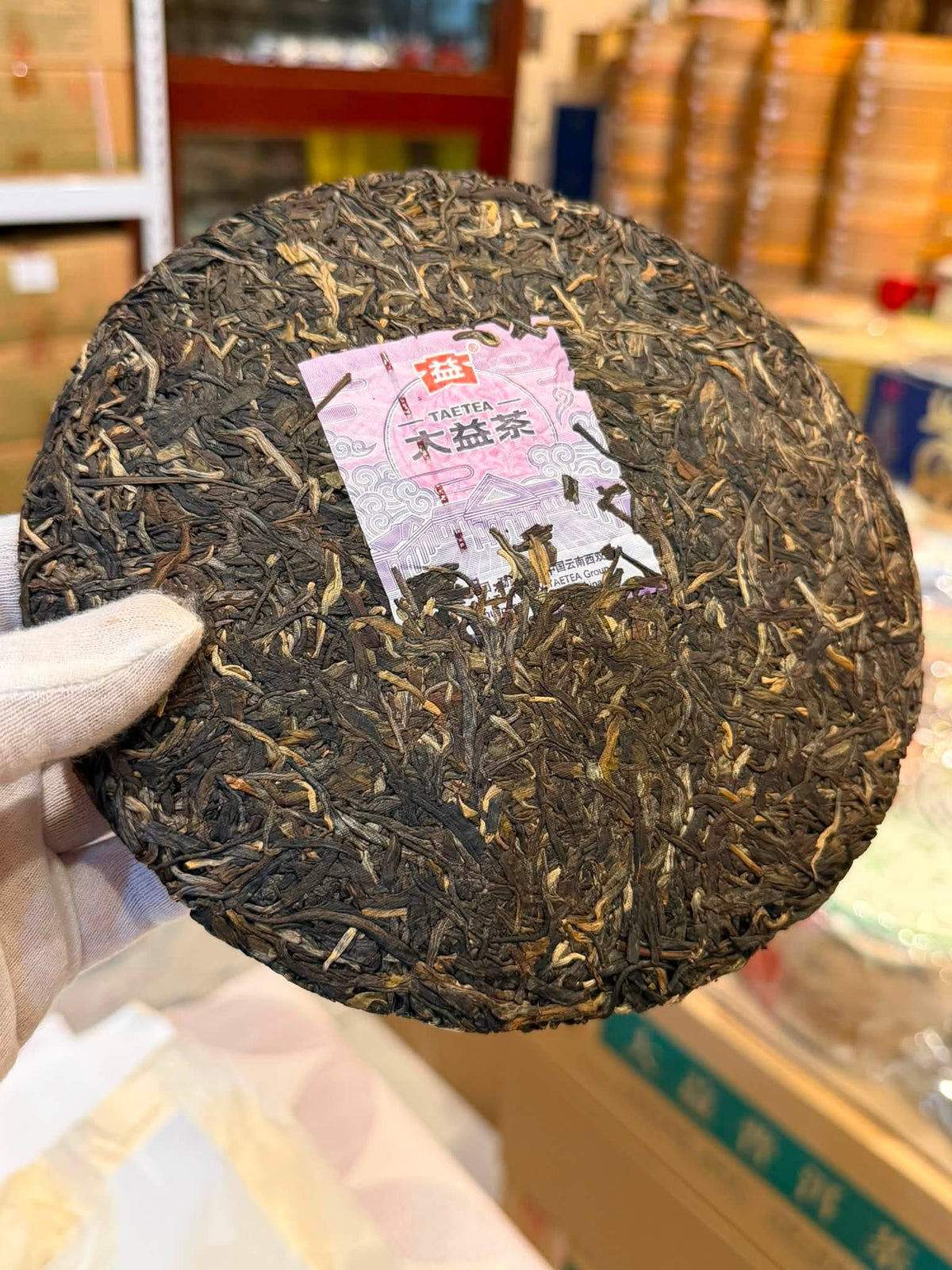 2025 Jin Dayi No. 5 Raw Puerh Cake