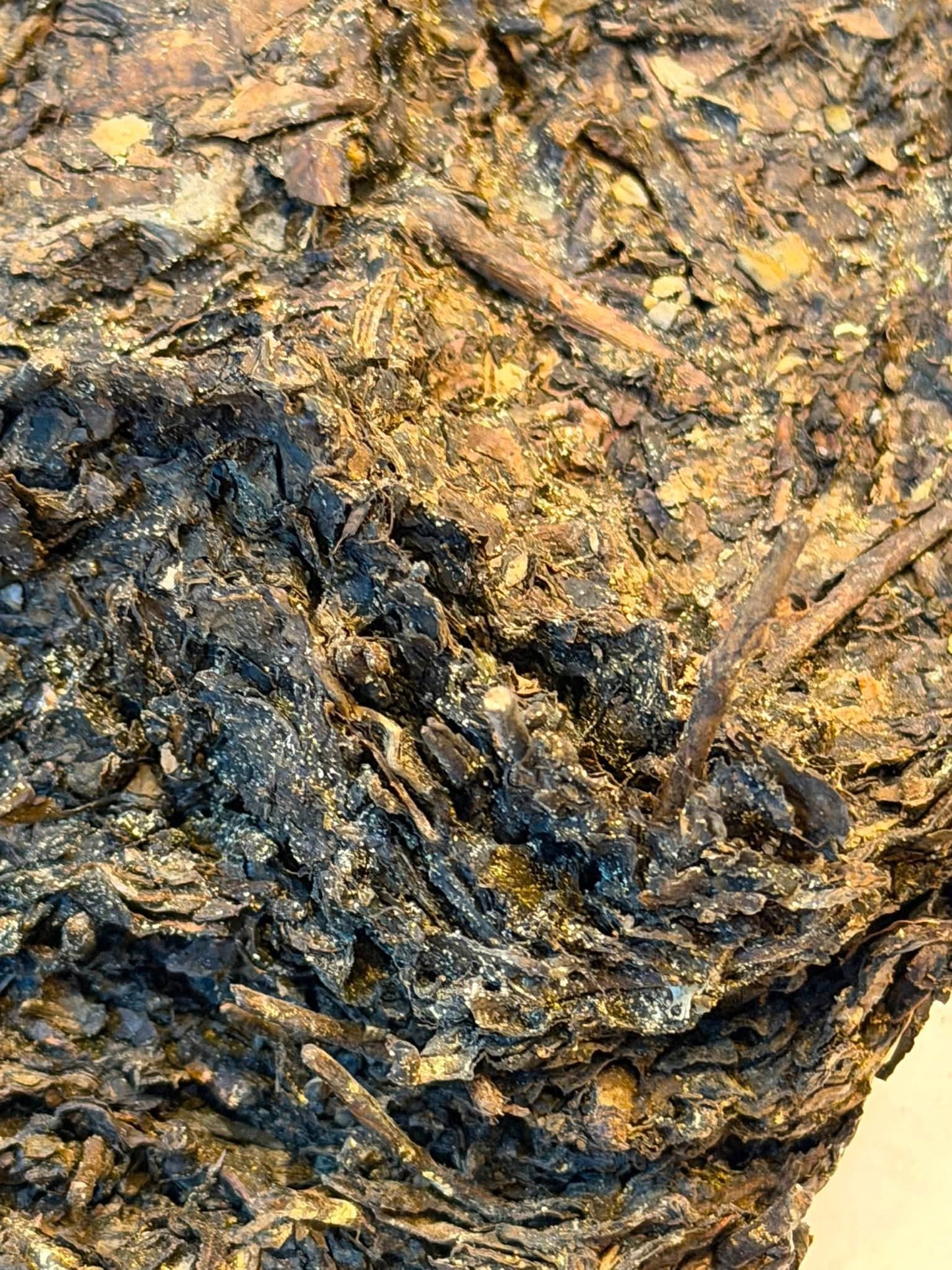 Qian Liang Cha (QLC) Heicha