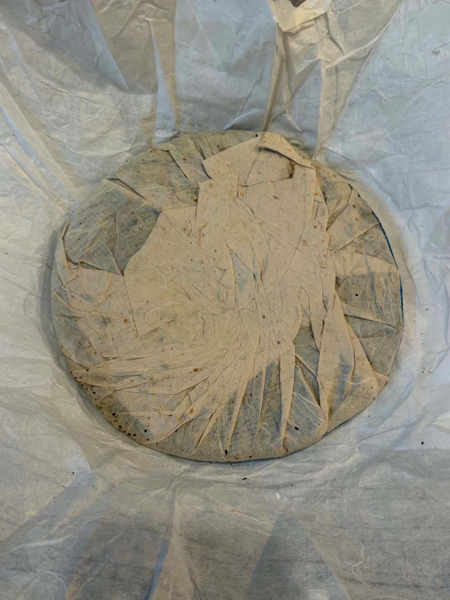 2003 Dayi 301 "Blue Dayi" 7542 Raw Puerh